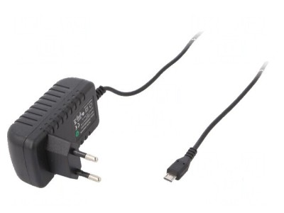 Alimentator pulsatoriu 5VDC 2A 10W plug-in foto