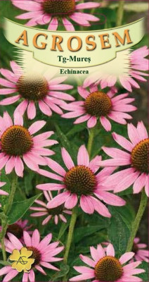 ECHINACEA 1 g foto