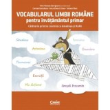 Vocabularul limbii romane pentru invatamantul primar. Invat si exersez cu Amadeus si ReMi - Irina-Roxana Georgescu