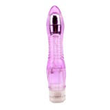 Vibrator Glitter Dual Probe