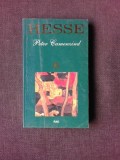 PETER CAMENZIND - HERMANN HESSE