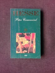 PETER CAMENZIND - HERMANN HESSE foto