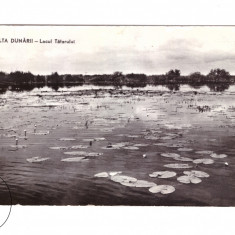 CP Delta Dunarii - Lacul Tatarului, RPR, circulata 1965, stare buna