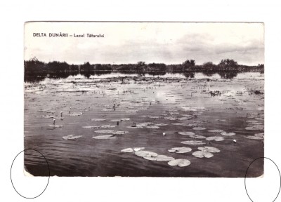 CP Delta Dunarii - Lacul Tatarului, RPR, circulata 1965, stare buna foto