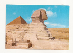 FA30-Carte Postala- EGIPT - Giza, Sphinx and the pyramid of Cheops, necirculata foto