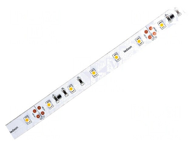 Bandă LED alb rece 24V 4,8W/m 12mm IP20 120&deg;