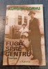 Fuga spre centru Aurora Cornu