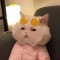 Test 1234