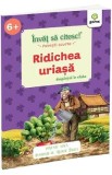 Invat sa citesc povesti scurte pe silabe. Ridichea uriasa