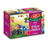 Ceai Fructe de padure, 20 plicuri, Fares
