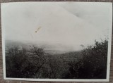 Vedere de la Manastirea Cocos, 1935// fotografie, Romania 1900 - 1950, Portrete