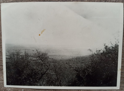 Vedere de la Manastirea Cocos, 1935// fotografie foto
