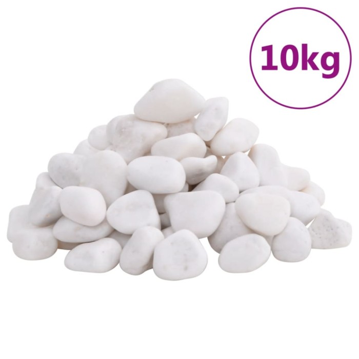 vidaXL Pietricele lustruite, 10 kg, alb, 2-5 cm 155329
