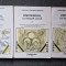 UNIVERSUL LUI EDGAR CAYCE - Dorothee Koechlin de Bizemont (3 volume)
