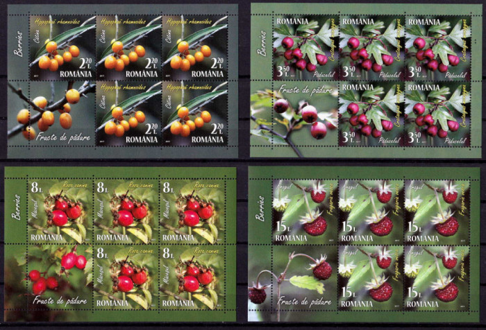 ✅RO 2017 ,LP 2162 b ,&quot;Fructe de padure &quot; ,serie minicoli de 5 + 1 vinieta ,MNH