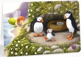 Felicitare - Puffins | Anda Ansheen