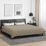 vidaXL Duvet de iarnă Gri deschis 220 x 240 cm Microfibră 42025749