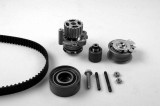 Kit distributie + pompa apa Skoda Octavia II; VW Golf V, Jetta III, Passat B6 Motor 2.0 TDI, 2.0 TDI 16V, 2.0 TDI 16V 4motion, dinti 141, 30 mm, OE