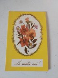 Felicitare veche anii 80 (I.P. Arta Grafica) cu buchet de flori si urarea La multi ani!, Necirculata, Printata