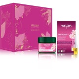 Weleda Wild Rose &amp; White Tea set cadou pentru strălucirea și netezirea pielii