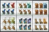 Cumpara ieftin Romania 2019 - LP 2237 nestampilat - Fauna protejata din Romania - bloc 5x