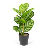 Planta artificiala decorativa - Frunza de zebra verde - 34 x 9 cm Best CarHome