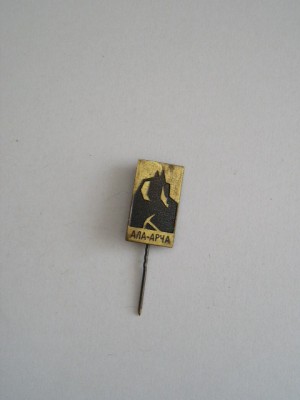 QW9 L 75 - insigna - tematica orase - Fosta URSS foto
