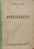Ampelografia - Gh. Constantinescu (1958, Agro-Silvica de Stat) Carte Tehnica Mecanica, Romana