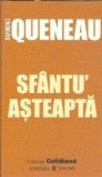 Sfantu' Asteapta - Raymond Queneau, Editura Univers, 2007, Coperta Cartonata, Roman Literatura Straina