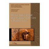 Omul si mediul animal intre mileniile VII-IV i. e. n. la Dunarea de Jos - Adrian Balasescu, Dragos Moise, Valentin Radu