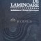 Utilaje de laminoare - C. Radulescu (H10)
