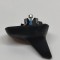 Antena VW GOLF VII 5G1, BQ1, BE1, BE2 2017 OEM: 5Q0035507Q 31035356