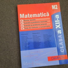 Burtea - Matematica M2. Clasa a XII-a. Breviar teoretic, PROBLEME REZOLVATE