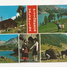 FA7 -Carte Postala - ITALIA - Valtellina Pittoreasca, circulata 1976