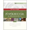 P&uuml;sp&ouml;kmoln&aacute;ri Egy R&aacute;ba menti kis falu &eacute;lete - Kuglics G&aacute;bor