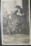 Carte postala, gravura florareasa, perioada interbelica