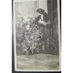 Carte postala, gravura florareasa, perioada interbelica