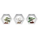 Sticker Bonsai 3D - Nise Hexagon in Perete