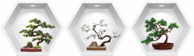 Sticker Bonsai 3D - Nise Hexagon in Perete foto