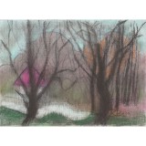 Rodica Lazar, Casa cu acoperis roz (2009) pastel/hartie