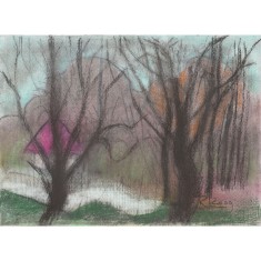 Rodica Lazar, Casa cu acoperis roz (2009) pastel/hartie foto