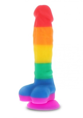 Dildo Lover Curcubeu 18cm foto