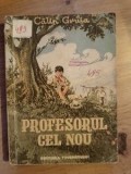 Profesorul cel nou- Calin Gruia