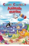 Animale marine. Carte de colorat