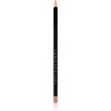 Anastasia Beverly Hills Lip Liner creion contur buze culoare Baby Rose 1,49 g