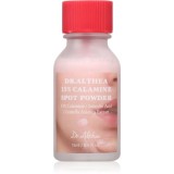 Dr. Althea 15% Calamine Spot Powder tratament topic pentru acnee cu efect calmant 15 ml