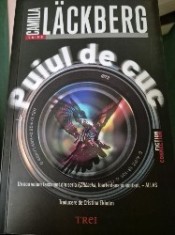 Puiul de cuc de Camilla Lackberg