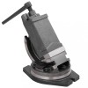 Gossi menghina cu inclinare, cu 2 axe, 100 mm