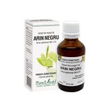 Cumpara ieftin Extract din muguri de Arin Negru, 50ml, PlantExtrakt