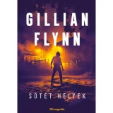 S&ouml;t&eacute;t helyek - Gillian Flynn